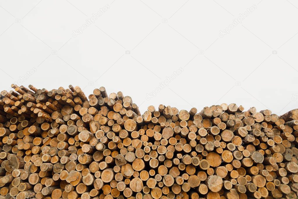 Pile of wood logs .Forest logging site. felled tree trunks.