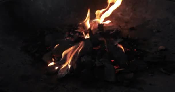 Campfire camp fire summer burning fire campfire in 4K — Stock Video