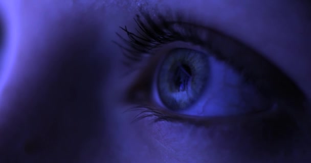 Μακροεντολή γκρο πλαν μάτι αναβοσβήνει. Γυναίκα σερφάρισμα στο internet στον υπολογιστή τη νύχτα — Αρχείο Βίντεο