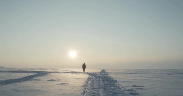 若い旅行者は、美しい夕日で吹雪の中を通過します。極地探検 — ストック動画