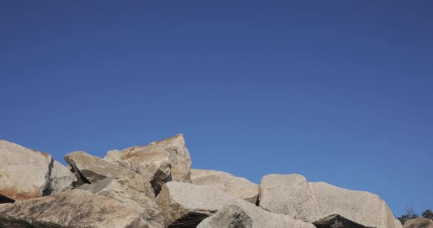 Jonge man toerist is wandelen op de stenen op de berg met kaart in zijn hand. — Stockvideo