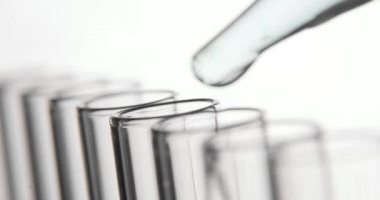Tıbbi Laboratuar testi, pipet test tüplerine şeffaf kimyasalları damlar.