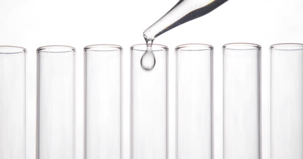 Pipeta goteja produtos químicos limpos em um tubo de ensaio no centro da linha em fundo branco. Conceito de química e medicina . — Vídeo de Stock
