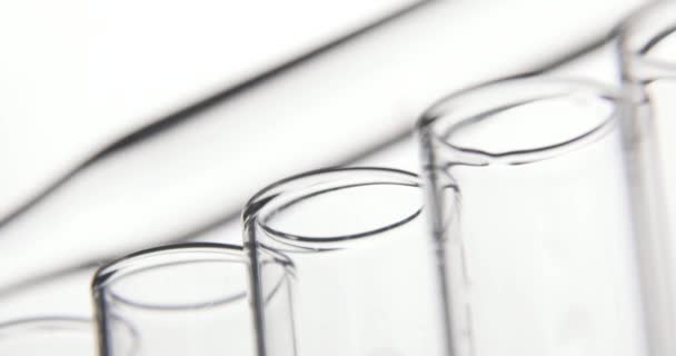 Teste laboratorial. Pipeta goteja produtos químicos transparentes em tubos de ensaio em uma fileira no fundo branco. Conceito de química e medicina . — Vídeo de Stock