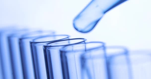 Prueba química de laboratorio, pipeta gotea sustancias químicas transparentes en tubos de ensayo azules . — Vídeos de Stock