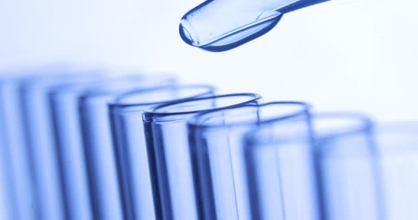Pruebas de laboratorio. La pipeta gotea gotas de agua limpia azul en los tubos de ensayo. Concepto químico y médico . — Vídeo de stock