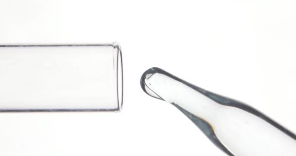 Pipette tropft transparente Chemikalien ins Reagenzglas auf weißem Hintergrund. Chemie- und Medizinkonzept. vertikales Video. — Stockvideo