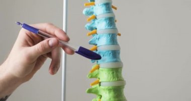 Doktor omurga modeli, closeup görünümü alanları işaret ediyor.