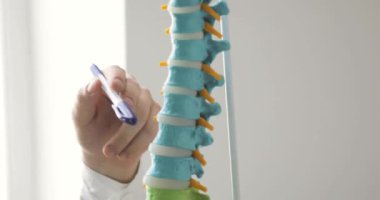 Doktorlar el omurga modeli, closeup görünümü üzerinde omurlar işaret ediyor.