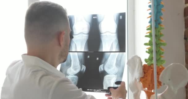 Doktor uczy kości na zdjęciach rentgenowskich siedzących w pobliżu okna, widok z tyłu. — Wideo stockowe
