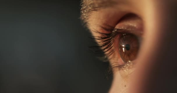 Gros plan de femmes clignotant oeil brun sur fond flou, vue de côté .