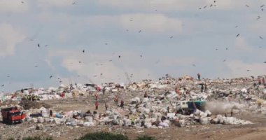 İşçi ve çöp kamyonlar ve büyük atık tepeler ile şehir dökümü üzerinde çalışma günü.