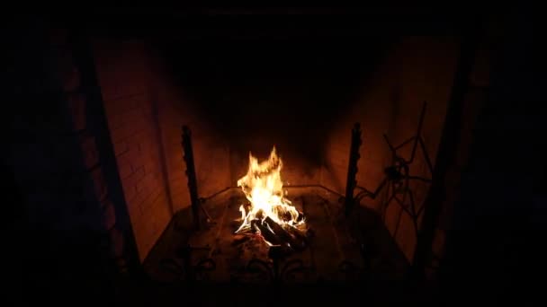 Камін з цегли з палаючим дровами і оранжевим полум'ям в будинку . — стокове відео