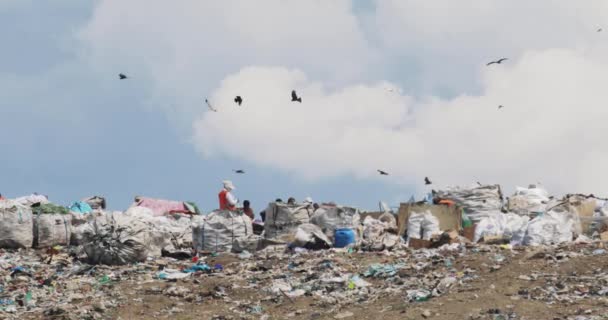 Colline des ordures sur la décharge et les travailleurs de ne pas recycler les ordures pays du tiers monde . — Video