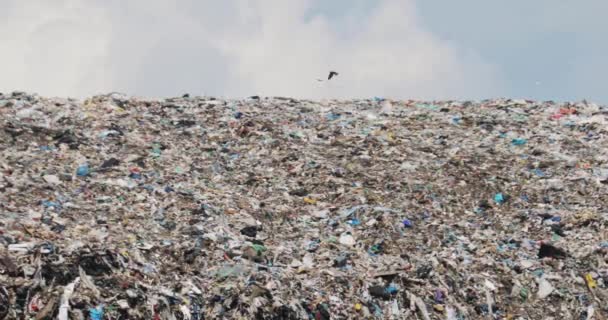 Vögel fliegen über riesigen Müllberg auf Müllhalde im Landkreis. — Stockvideo