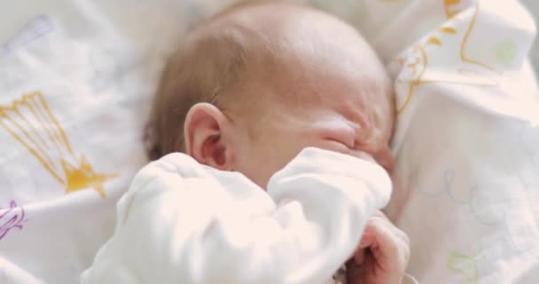 Portrait of crying hungry newborn baby taking hands in mouth, face closeup. — Stock Video