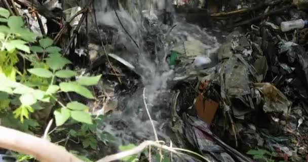 Corriente de cascada forestal fluye entre basura plástica en la naturaleza, desastre ecológico . — Vídeo de stock