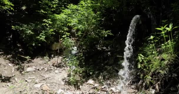 Очищенная сточная вода из сточных вод, вытекающих из труб в лесу недалеко от города . — стоковое видео
