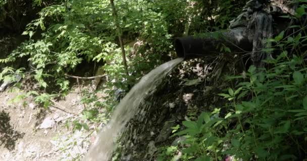 Waste water drain from sewage pouring from pipe in forest not far from city. — Stock Video