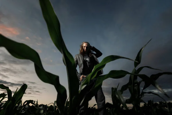 Joven tipo con estilo se encuentra en un campo en un traje gris al atardecer. Rubio con el pelo largo en un maizal. concepto de moda — Foto de Stock