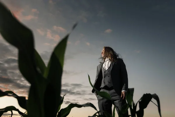O homem de negócios jovem está em um campo em um terno cinza no por do sol. Loira com cabelos longos em um milheiral — Fotografia de Stock