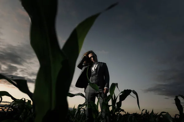 O tipo elegante jovem está em um campo em um terno cinza no pôr do sol. Loira com cabelos longos em um milheiral. conceito de moda — Fotografia de Stock