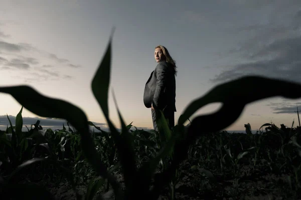 O homem de negócios jovem está em um campo em um terno cinza no por do sol. Loira com cabelos longos em um milheiral — Fotografia de Stock