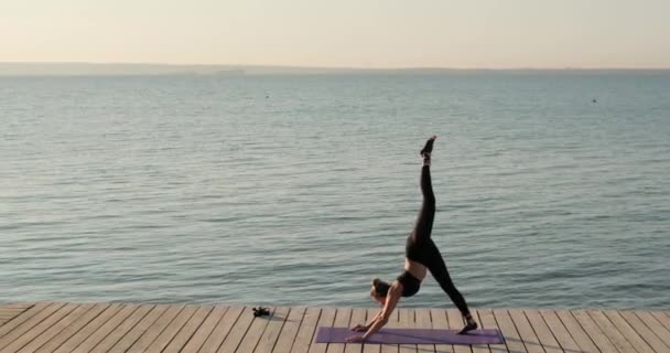 Kvinna utövar yoga i ner inför hund poserar på ett ben på flod träpir. — Stockvideo