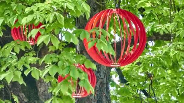Red wooden balls hang in foliage on tree in summer city park. — Stock Video