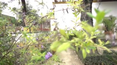 Sevilla, İspanya, daimi ikamet Medinaceli Dukes, Rönesans İtalyan ve Mudéjar stilleri, prototip Endülüs Sarayı'nın Endülüs sarayda La Casa de Pilatos (Pilate ev) olduğunu.