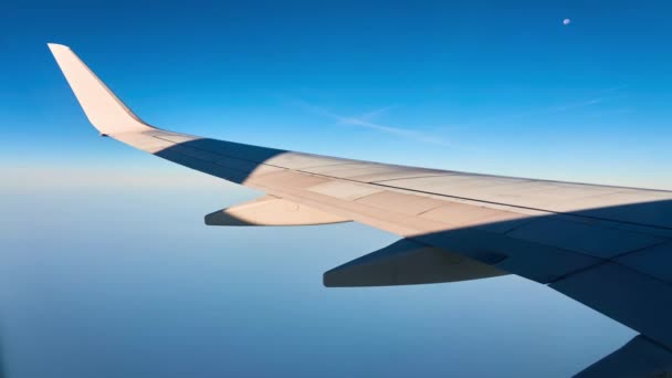 Ala de avião voador contra fundo de horizonte de céu. Vista do pórtico . — Vídeo de Stock