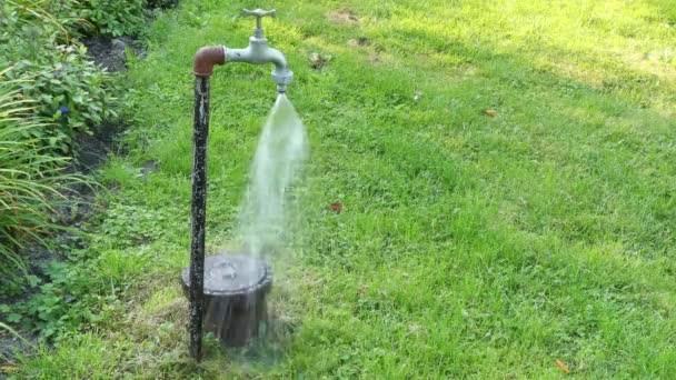 Kovové Vodovodní Trubkou Voda Zahradě — Stock video