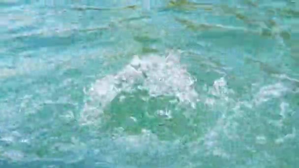 Sprudelndes Wasser Mit Aufsteigenden Blasen — Stockvideo