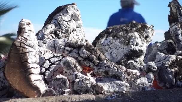 Палаюче Вугілля Вогні Біля Заміського Будинку — стокове відео