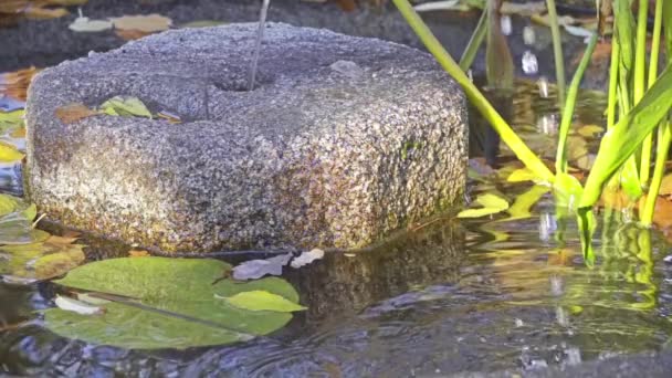 Slow Motion Piccola Fontana Pietra Nel Parco Cittadino Estivo — Video Stock