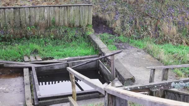 Wooden Square Fuente Spring Nunnery — Vídeo de stock