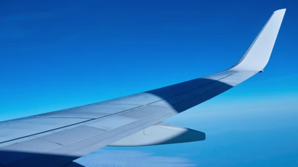 Ala Avión Volador Contra Fondo Del Horizonte Del Cielo Vista — Vídeo de stock