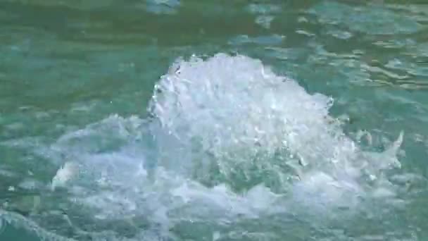 Sprudelndes Wasser mit aufsteigenden Blasen. — Stockvideo