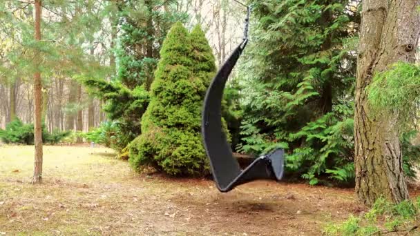 Fauteuil à bascule noir accroché à une branche d'arbre dans une ferme boisée . — Video