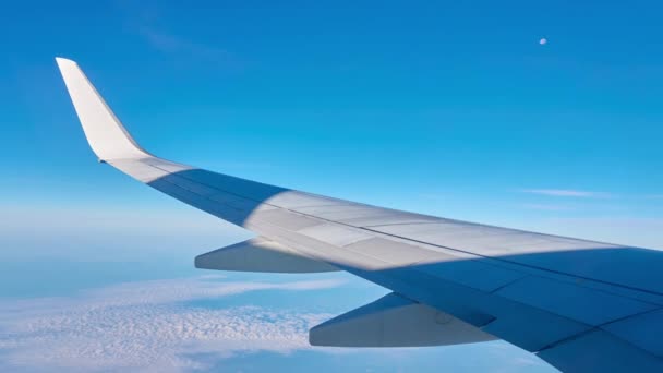 Ala de avião voador contra fundo de horizonte de céu. Vista do pórtico . — Vídeo de Stock