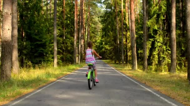 Menina Bonita Está Andando Bicicleta Longo Caminhos Asfalto Floresta Verão — Vídeo de Stock