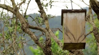 Şehir Parkı ağaçta asılı küçük ahşap kuş yuvası.