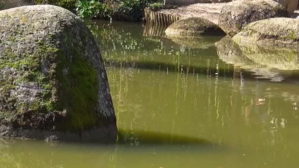 Grande Masso Acqua Lago Nel Parco Cittadino — Video Stock