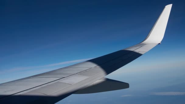 Ala Avião Voador Contra Fundo Horizonte Céu Vista Pórtico — Vídeo de Stock