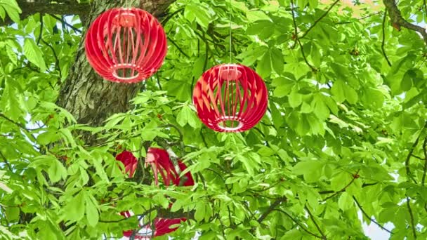 Rode Houten Ballen Hangen Gebladerte Boom Zomer Stadspark — Stockvideo