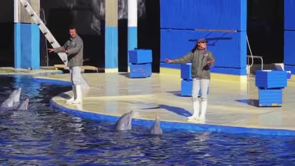 MADRID, SPAGNA - 12 DICEMBRE 2017: Rappresentazione con i delfini nello Zoo Aguarium . — Video Stock