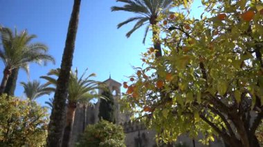 Alcazar de los Reyes Cristianos (Hıristiyan hükümdarlar Kalesi) Cordoba, Endülüs, İspanya. Isabella birincil konutlar biri olarak ben Kastilya ve Aragon Ferdinand II hizmet kale.