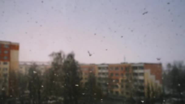Снегопад в феврале на фоне городских высотных зданий . — стоковое видео