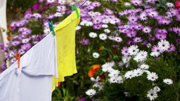 Biancheria da letto, che viene asciugata dopo il lavaggio su sfondo di fiori da giardino . — Video Stock