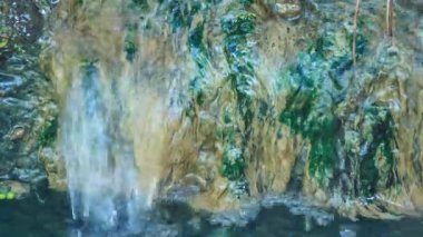 Dağ orman dere güzel bölgede.